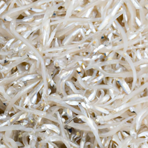 おすすめの生しらす！美味しさと楽しみ方を徹底解説