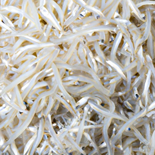しらすの生を美味しく保つ！保存方法ガイド