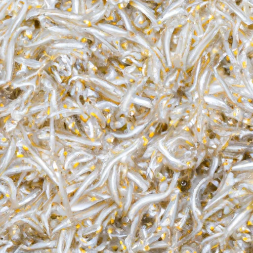 しらす直売丼の魅力と美味しい食べ方を徹底解説