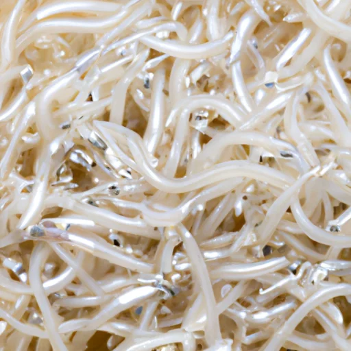 しらす通販おすすめ！新鮮なしらすと絶品レシピを紹介