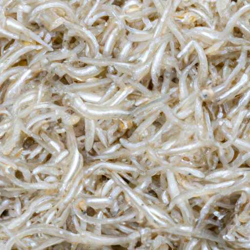 しらす-ギフト-パスタ